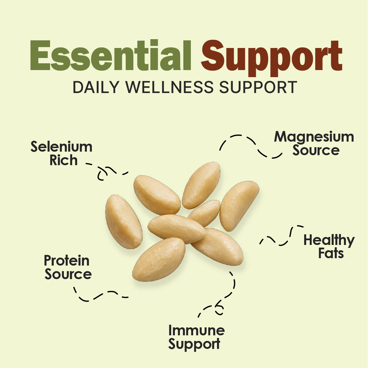 Brazil Nuts - Buy Raw & Organic Brazil Nuts Online