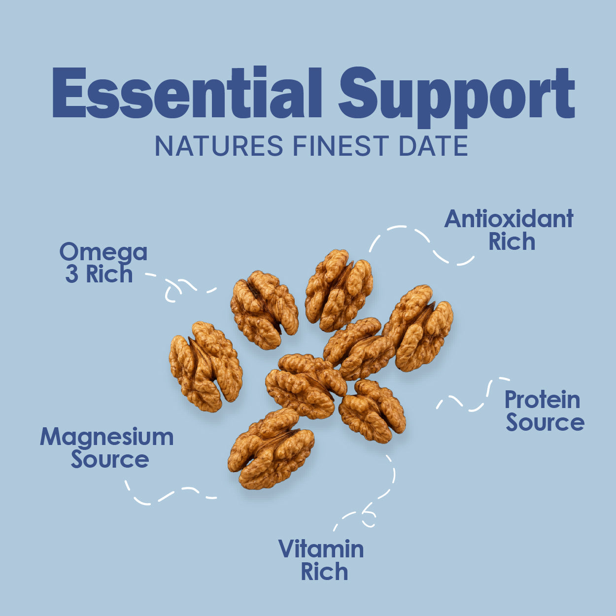 Walnut Kernels - Buy Premium Shelled Walnuts (Without Shell)