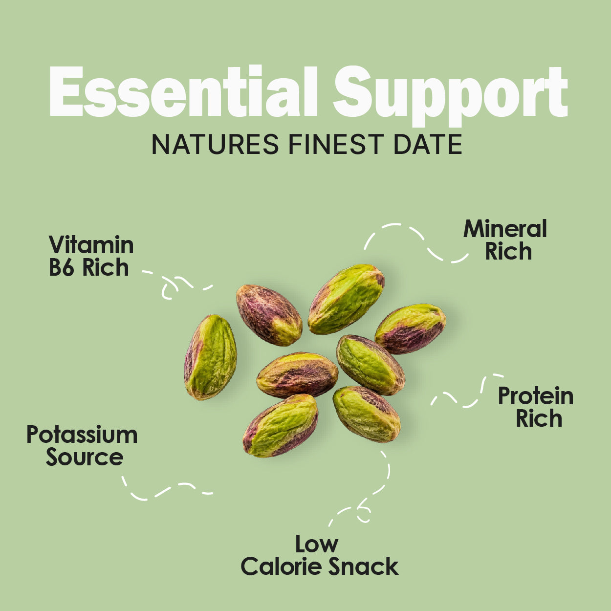 Pistachio Kernels (Without Shell) - Buy Shelled Pistachios