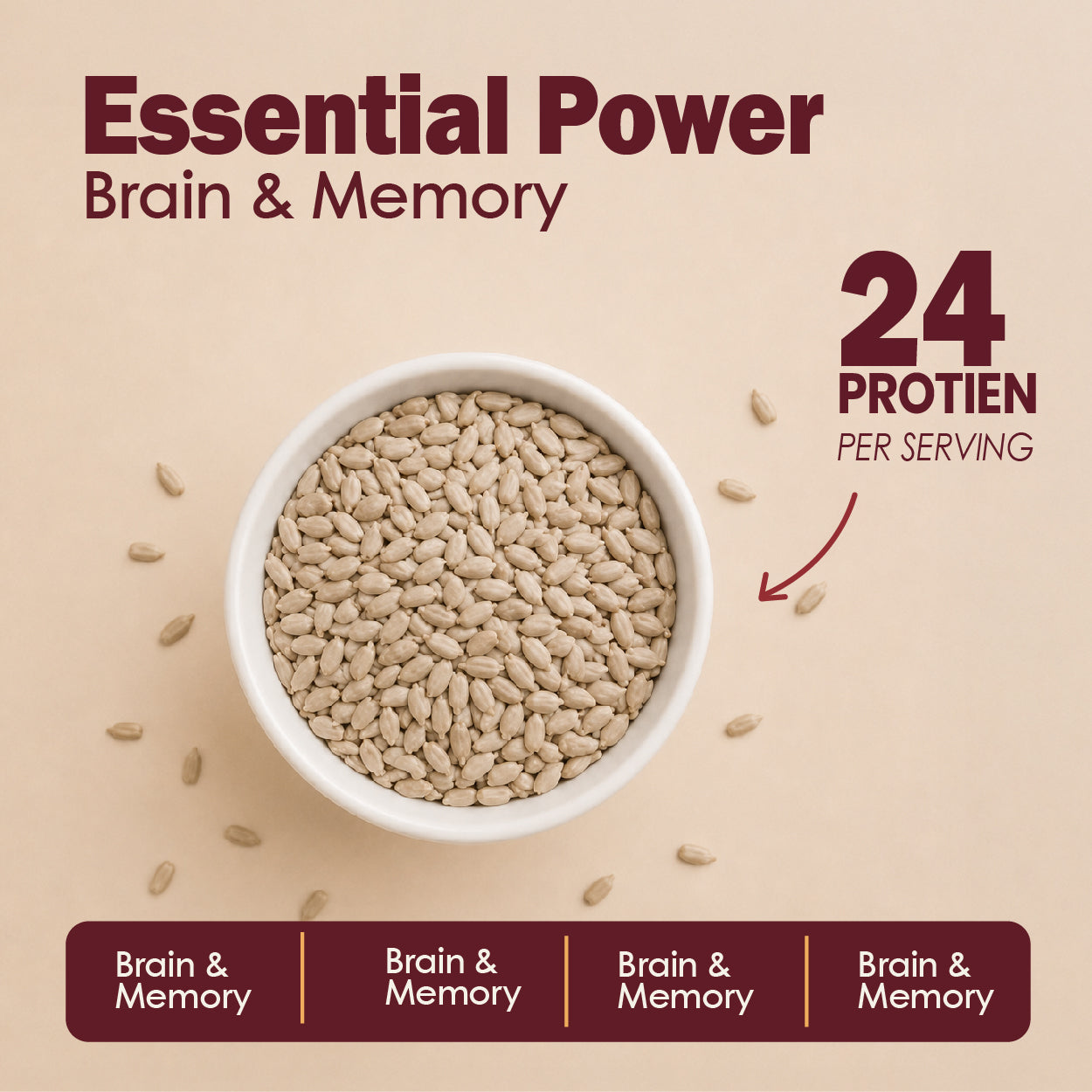 Sunflower Seeds - Buy Premium Roasted Sunflower Seeds